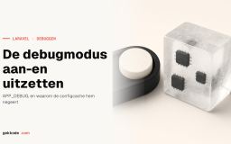 Debugmodus in Laravel in- en uitschakelen met APP_DEBUG